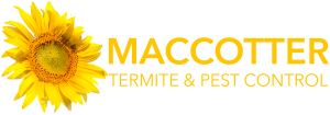 Maccotter-logo-Ray-redraw-2023-Latest