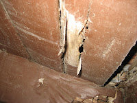 Damaged wall Termite Damage