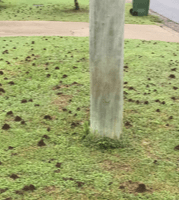 IMG_1639-Copy-e1581736621936