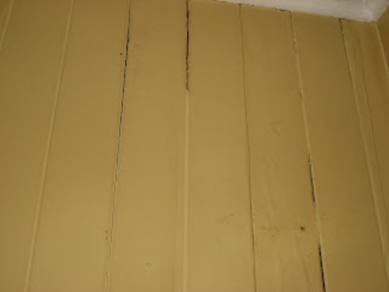 Termite damage VJs (1)