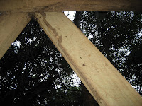 Timber damage Timber damage