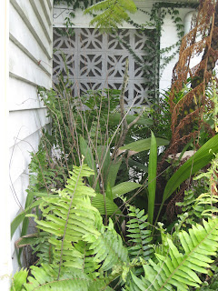 Foliage against house